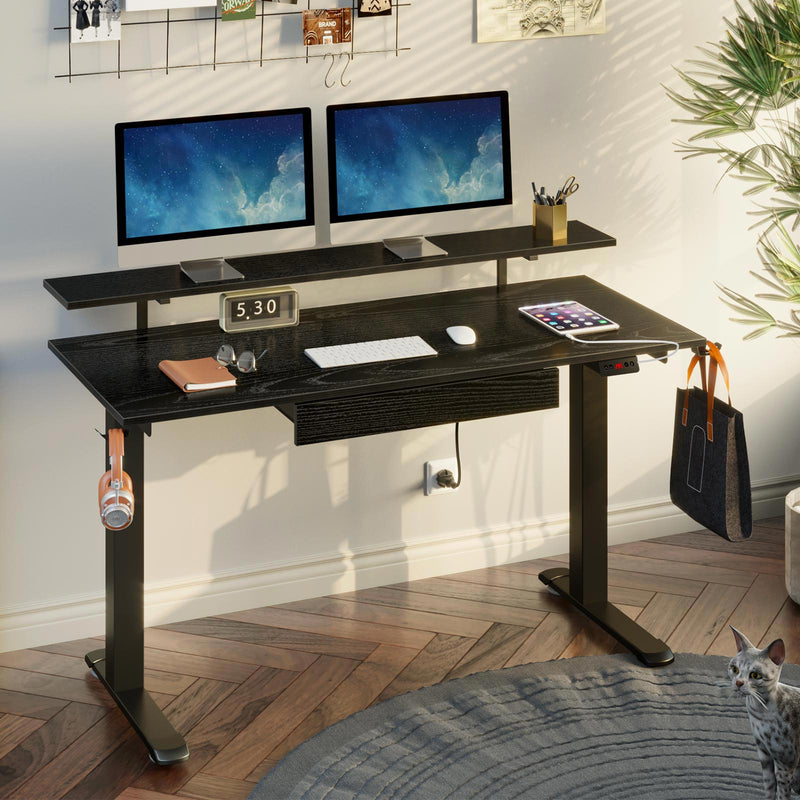 Rolanstar Height Adjustable Dual Motor Standing Desk with Drawer, USB Charging Ports and Hooks 47 Inch