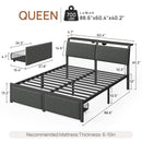 Rolanstar Bed Frame with Ergonomic Headboard Storage & Charging Station, Upholstered Platform Bed with LED Light & Drawer, Heavy Duty Metal Slats, Noise Free, No Box Spring Needed, Grey