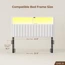 Rolanstar Headboard for Twin Size Bed with Storage, Velvet Upholstered Head Board with USB & Type C Port, 60,000 DIY Color of LED Light Height Adjustable, Sturdy, Easy Assembly, White