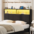 Rolanstar Headboard for Full Size Bed with Storage, Velvet Upholstered Head Board with USB & Type C Port, 60,000 DIY Color of LED Light, Height Adjustable, Sturdy, Easy Assembly, Black