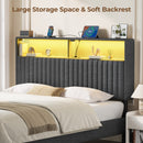 Rolanstar Headboard for Queen Size Bed with Storage, Velvet Upholstered Head Board with USB & Type C Port, 60,000 DIY Color of LED Light, Height Adjustable, Sturdy, Easy Assembly, Grey