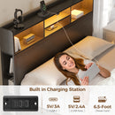 Rolanstar Twin Bed Frame with Storage Headboard, Metal Platform Bed with Charging Station, LED Bed Frame with 4 Drawers, Bookcase Storage, No Box Spring Needed, Easy Assembly, Noise-Free, Black