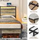 Rolanstar Bed Frame Queen Size with USB Charging Station, LED Bed Frame with Wood Storage Headboard, Light Grey Metal Platform Bed with Under Bed Storage, No Box Spring Needed, Noise Free