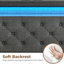Rolanstar Queen Size Bed Frame with Charging Station and LED Lights, Dark Grey, UPC 810142980005