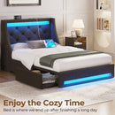 Rolanstar Bed Frame with LED Lights and Charging Station, Upholstered Bed with Drawers, Wooden Slats, Noise Free, Easy Assembly