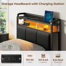 Rolanstar Bed Frame with Charging Station and LED Lights, Upholstered Storage Headboard with Drawers, Heavy Duty Metal Slats, No Box Spring Needed, Noise Free, Easy Assembly