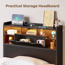 Rolanstar Bed Frame Twin Size with Charging Station, LED Bed Frame with Storage Headboard, Black