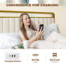 Rolanstar Bed Frame with Charging Station and LED Lights, Upholstered Velvet Bed with Headboard Footboard