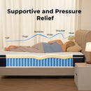 Rolanstar Twin Size Mattress, 10 Inch Foam Hybrid Mattress with Independent Spring, Medium Firm Mattresses in a Box, Breathable and Pressure Relief, CertiPUR-US