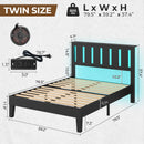 Rolanstar Twin Bed Frame with Headboard, Charging Station and LED Lights, Wooden Bed Frame Foundation with Wood Slat Support, No Box Spring Needed, Black