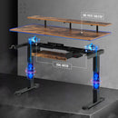 Rolanstar Dual Motor Electric Height Adjustable Computer Desk With Usb Charging Ports & Keyboard Tray & Monitor Shelf 55 Inch