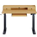 Rolanstar Height Adjustable Desk 47", Standing Desk with Keyboard Tray and Monitor Shelf, Electric Standing Table with Double Headphone Hooks, Rustic Brown