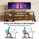 Rolanstar Computer Desk with Monitor Stand and Drawers 47 Inch