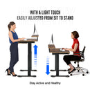 Rolanstar Height Adjustable Dual Motor Standing Desk with Drawer, USB Charging Ports and Hooks 47 Inch