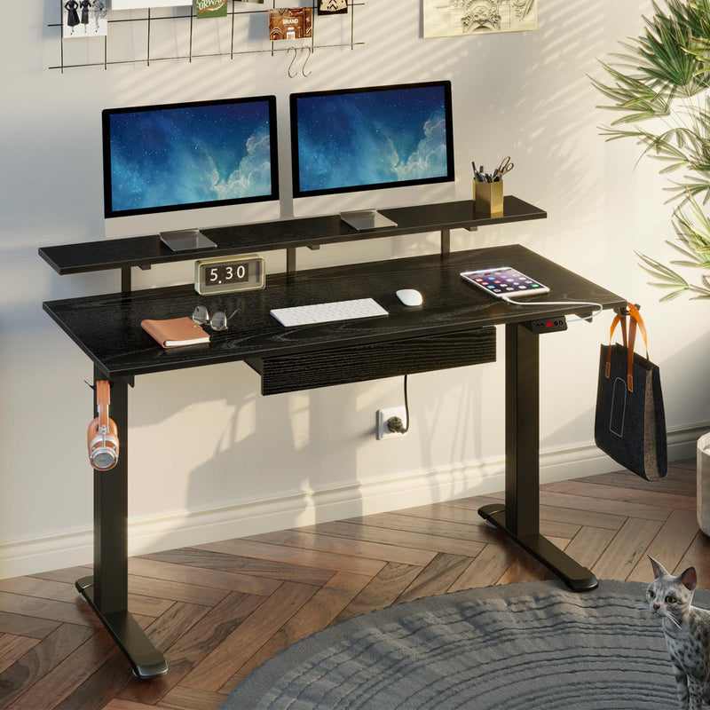 Rolanstar Height Adjustable Dual Motor Standing Desk with Drawer, USB Charging Ports and Hooks 55 Inch